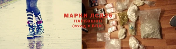 гидропоника Верея